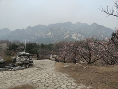 -北京凤凰岭