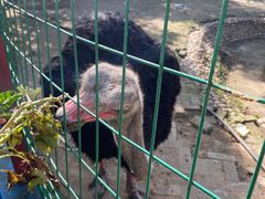 -武汉紫薇都市田园