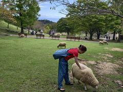 -神户市立六甲山牧场