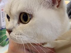 -伟伟宠物医院·CT影像中心·瑞派犬猫综合性门诊(汉口总院)