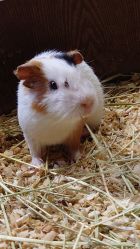 -Zoolung Zoolung动物主题公园(海信广场店)