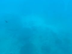 -亚龙湾海底世界