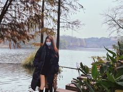 -重庆彩云湖湿地公园