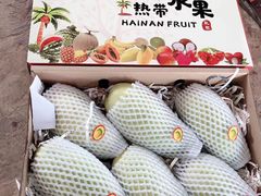 -三亚新鸿港水果一级批发市场
