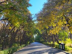 -长春市南湖公园