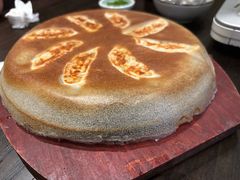 铁板煎饺-九州酒场ひこぞう(2号店)