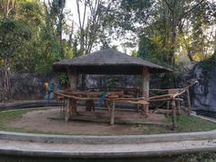 -清迈夜间动物园