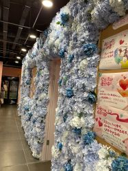 -doladola(徐家汇店)