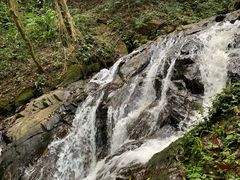 -莫里热带雨林景区