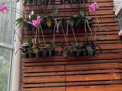 -国家植物园南园