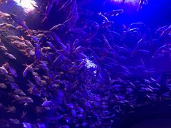 -成都浩海立方海洋公园