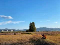 -怀来官厅水库