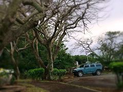 -丽姐租车