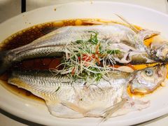 广式蒸白条-春暖花开(西溪店)