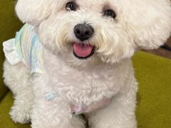 -福禾酒家·福福fufu House