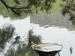 -四海公园(南山区)