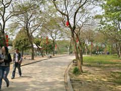 -天适樱花悠乐园