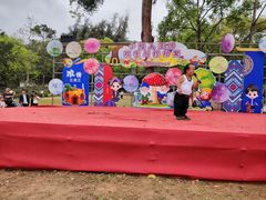 -南宁良凤江国家森林公园