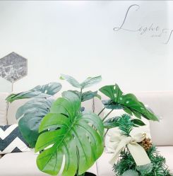 -MOE BEAUTY.皮肤管理中心