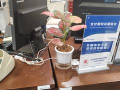 -中国民生银行(上海分行营业部)