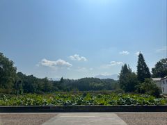 -清漾毛氏文化村