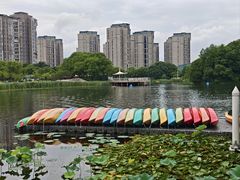 -新江湾城公园