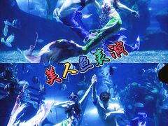 -南昌海洋公园