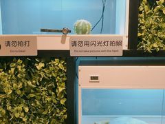摆设-打趸BTC·Breaktime cafe(北京路店)