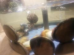 -旺顺阁海鲜广场(亚运村店)