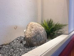 -蜜桃餐厅·伴山(绿宝广场店)