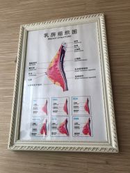 -成都伊贝丝美容美胸SPA会所