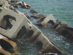 -东疆建设开发纪念公园