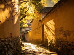 -杨家堂村