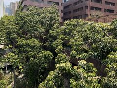 -香港大学