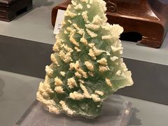 -湖南省地质博物馆