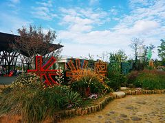 -上海长兴岛郊野公园