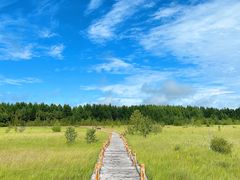 -塞罕坝国家级自然保护区