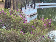 -东莞植物园
