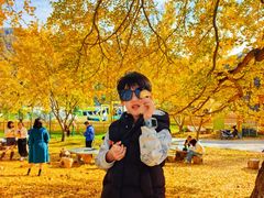 -千年银杏谷文化旅游区