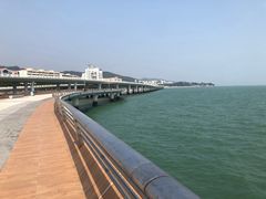 -演武大桥观景平台