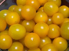 -探窝·竹笙椰子鸡(车陂店)