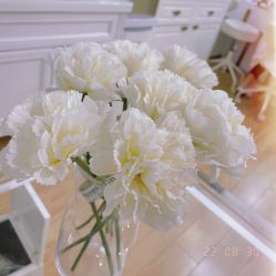 -babiline芭比莱恩半永久纹眉纹唇发际线