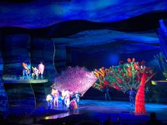 -奥兰多迪士尼动物王国乐园