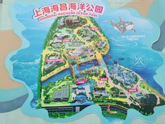 -上海海昌海洋公园
