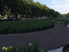 -证大喜玛拉雅中心