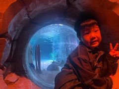 -沈阳海洋探索中心