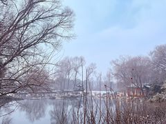 -晋祠公园