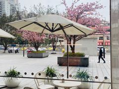 -奈雪的茶(东原悦荟店)