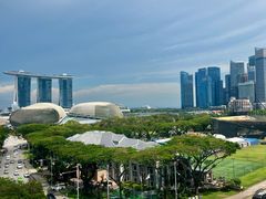 -新加坡瑞士史丹福酒店