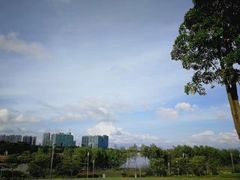 -深圳湾公园(南山区)